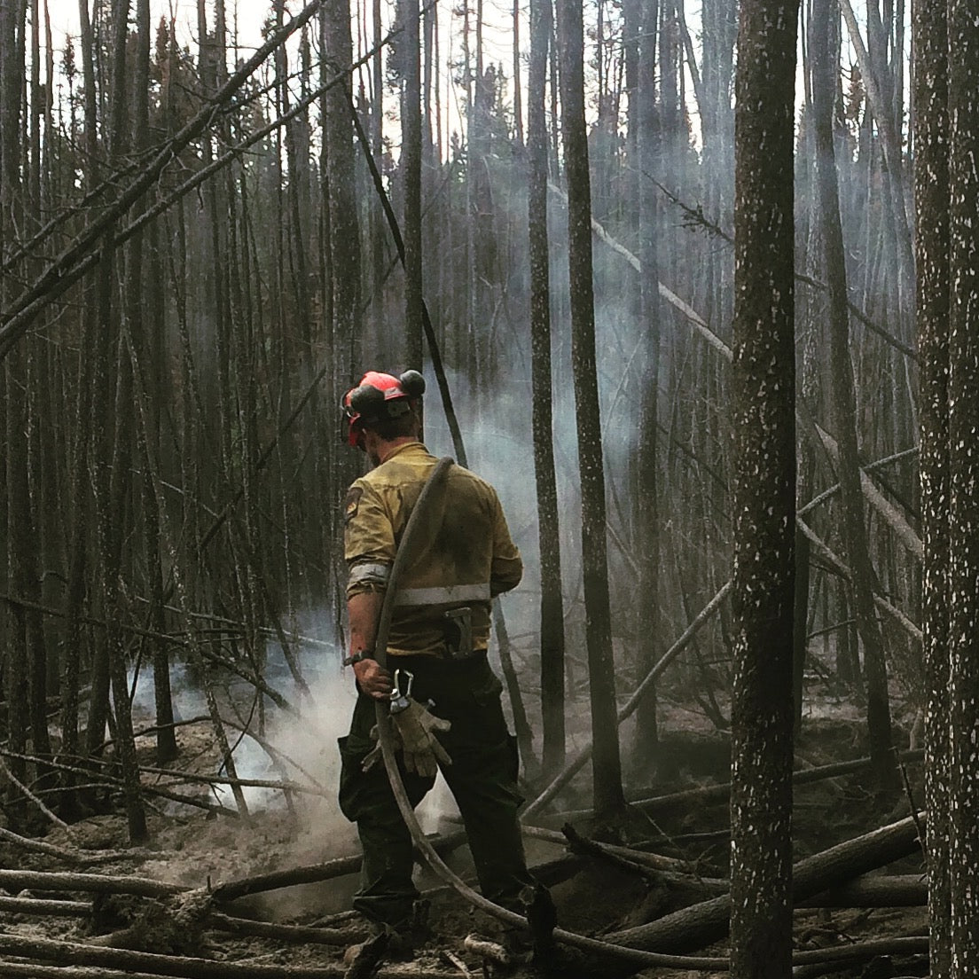 Calgary Coffee Roaster’s Conservation Efforts Sparked By Experience Fighting Wildfires